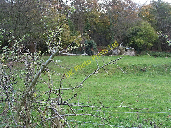 Photo 6"x4" Small patch of grazing land surrounded by woodland Coughton\/SO5921 c2007