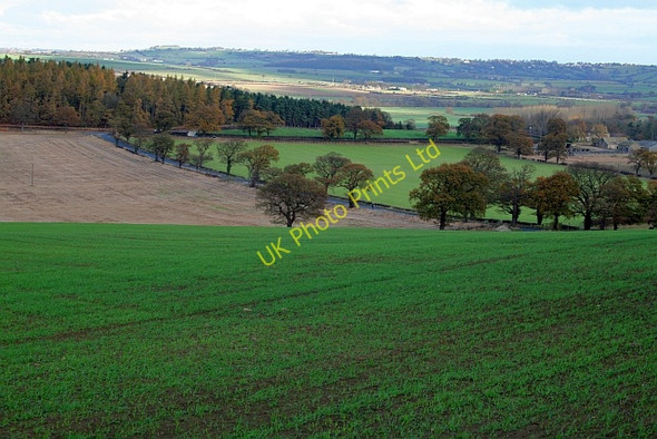 Photo 6"x4" Weardley from Burden Head Weardley c2007