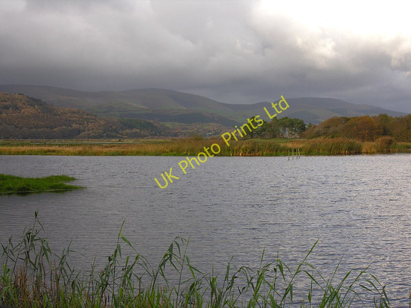 Photo 6"x4" Pond at Ynyshir Eglwys Fach c2007