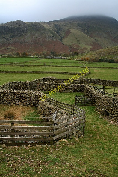 Photo 6"x4" Sheepfold in Mickleden Langdale Fell\/NY2706 c2007