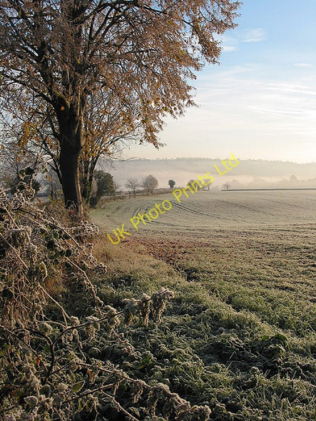 Photo 6"x4" Frosty morning with lingering fog Bromsash c2007