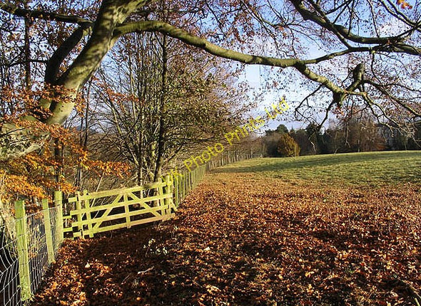 Photo 6"x4" An Autumn Field Melrose\/NT5434 c2007