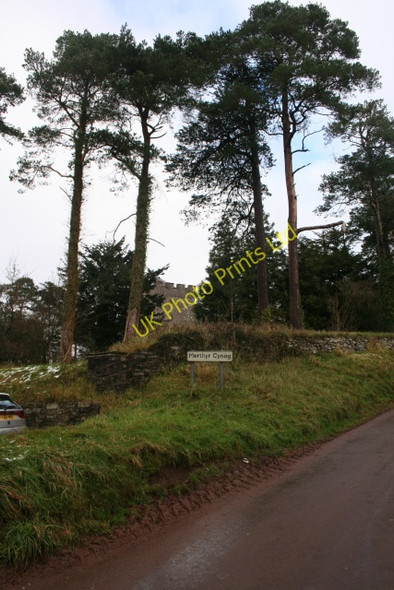 Photo 6"x4" Scots Pines, Merthyr Cynog Churchyard Merthyr Cynog c2007