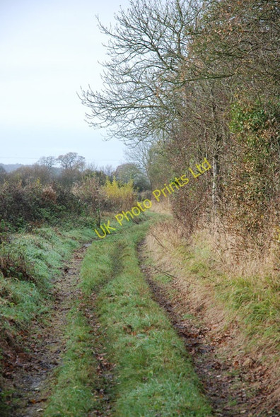 Photo 6"x4" Mower Lane (Track) Farrington\/ST8415 c2007