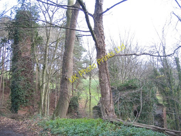 Photo 6"x4" Hawarden Park and the ruined corn mill Hararden\/Penarl\u00e2g c2007