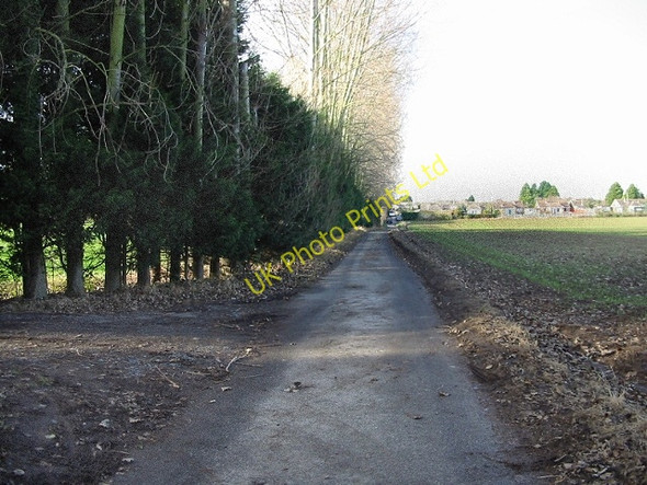 Photo 6"x4" View along Watercress Lane, Wingham Well Wingham Well c2007