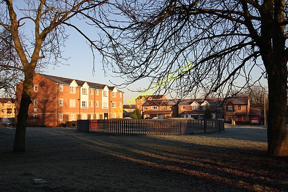 Photo 6"x4" Cold and Frosty Morning Finchley c2007