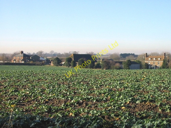 Photo 6"x4" Looking across the fields to Goss Hall from East Street Each End c2007