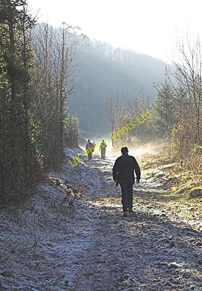 Photo 6"x4" Frosty morning laneway Durrow c2006
