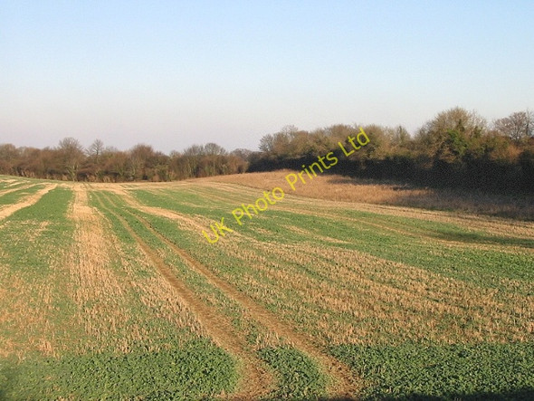Photo 6"x4" Field near Eythorne Golgotha c2007