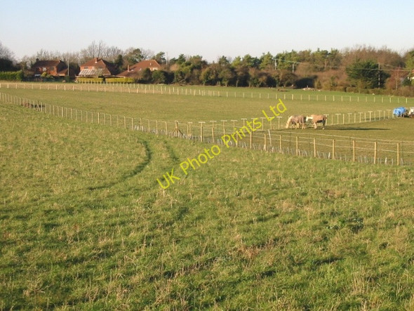 Photo 6"x4" Paddocks near Mill Lane Golgotha c2007