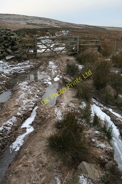 Photo 6"x4" Bridleway Across Carlton Moor Gammersgill c2007