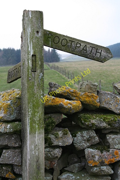 Photo 6"x4" Footpath Sign Above Fleemis Gill Horsehouse c2007