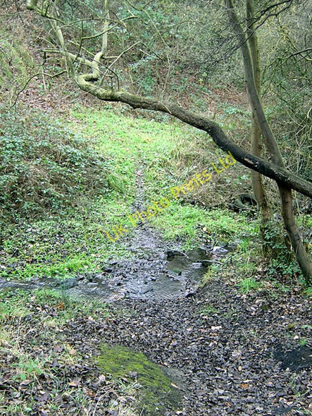 Photo 6"x4" Stream and footpath Thrybergh c2007