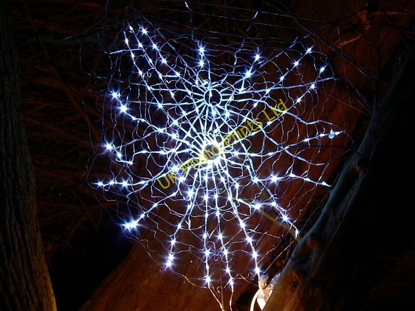 Photo 6"x4" Circular Drive, Westonbirt Arboretum (8) Westonbirt c2007