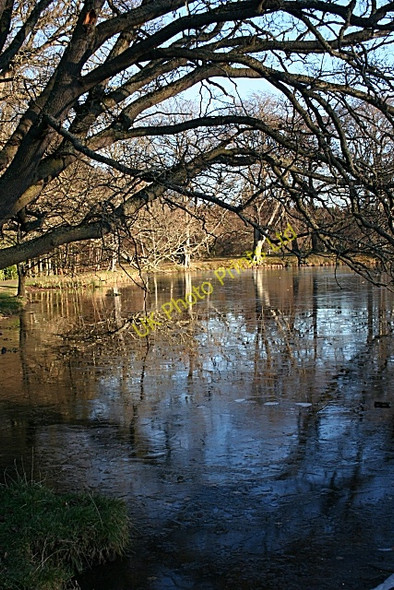 Photo 6"x4" Gordon Castle Lake Fochabers c2007