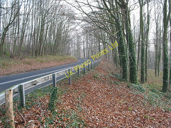 Photo 6"x4" A449 passes through mixed woodland Old Gore c2007