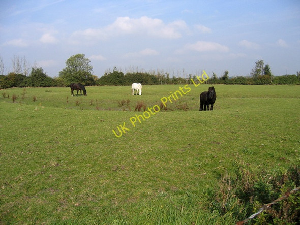 Photo 6"x4" Ancient Earthworks below Pulloxhill, Beds Barton-le-Clay c2005