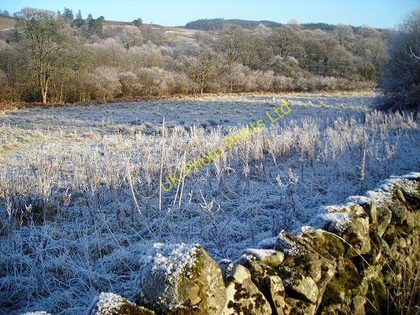 Photo 6"x4" Frosty Field Near Birkbush Mansegate c2007