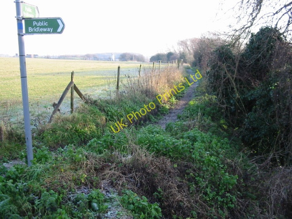 Photo 6"x4" Looking E along bridleway to Ham Statenborough c2007