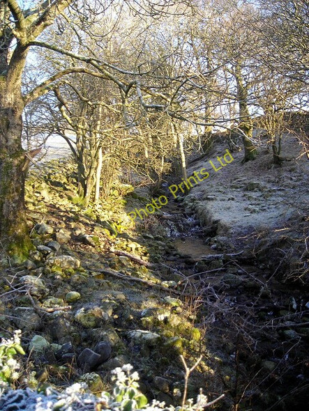 Photo 6"x4" Small Burn Near Killyleoch Mansegate c2007