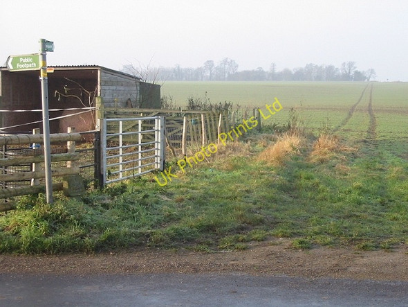 Photo 6"x4" Footpath across Neavy Downs Wingham c2007