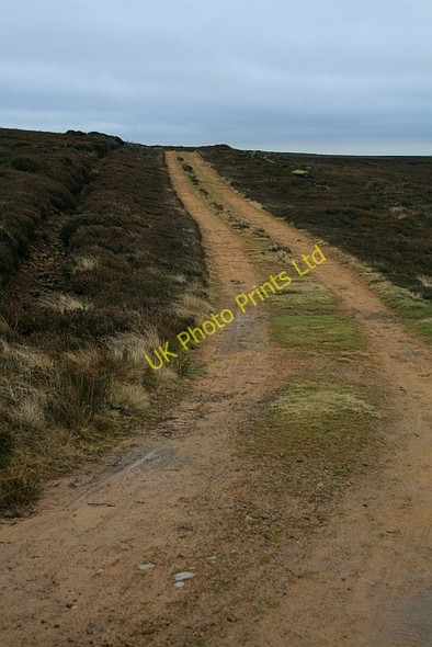 Photo 6"x4" Shooting Track on Urra Moor (1) Seave Green c2007