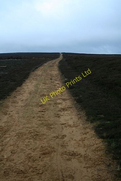 Photo 6"x4" Shooters Track across Urra Moor. Urra c2007