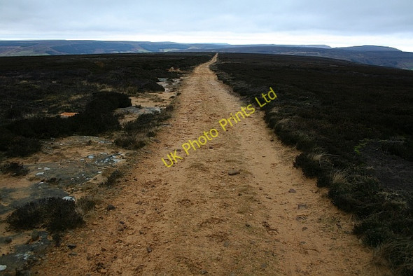 Photo 6"x4" Shooters Track across Urra Moor. Urra c2007 P1