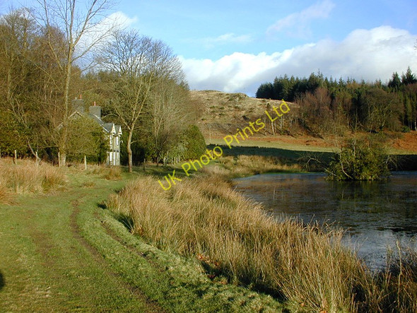 Photo 6"x4" Hawthorn Cottage and pond, Hafod Estate Cwmystwyth c2000