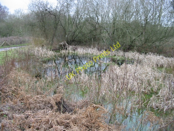 Photo 6"x4" Pond at Gibbin's Brook Moorstock c2007