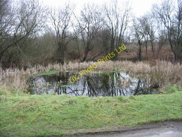 Photo 6"x4" Pond at Gibbin's Brook Moorstock c2007 P1