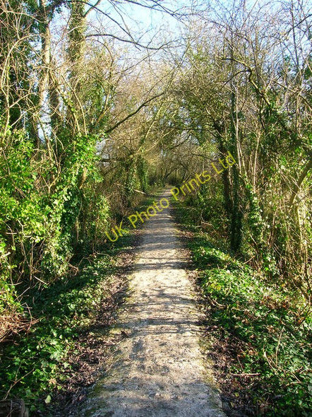 Photo 6"x4" Footpath to the Arun Arundel c2007