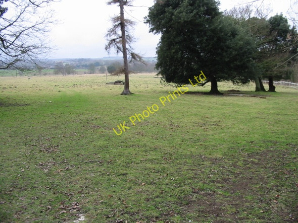 Photo 6"x4" View across St Alban's Downs, near Nonington Chillenden c2007