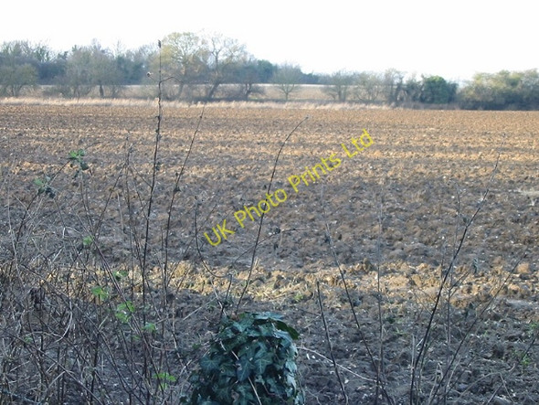 Photo 6"x4" View across the fields to the disused railway line Bishopsbourne c2007
