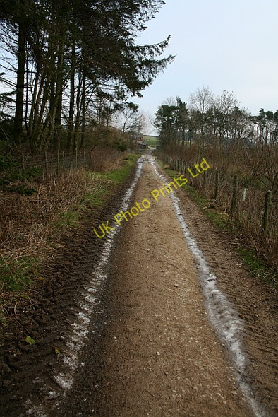 Photo 6"x4" Farm Track at Fleensop Horsehouse c2007