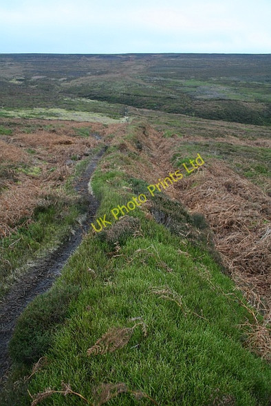 Photo 6"x4" Heading Towards Cowkill Beck Urra c2007