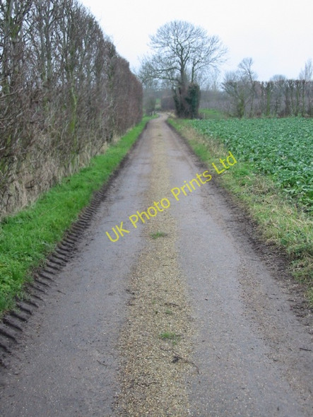 Photo 6"x4" View along footpath and private road to Lower Goldstone Cooper Street c2008