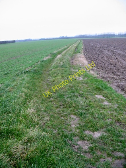 Photo 6"x4" Bridleway to Ware Hoaden c2008