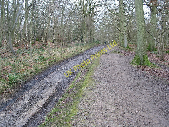 Photo 6"x4" Heading for Swinyard Hill on the Three Choirs Way Chandler's Cross\/SO7738 c2008