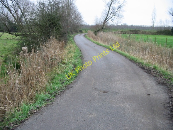 Photo 6"x4" View along private road towards Sparrow Castle Upper Goldstone c2008