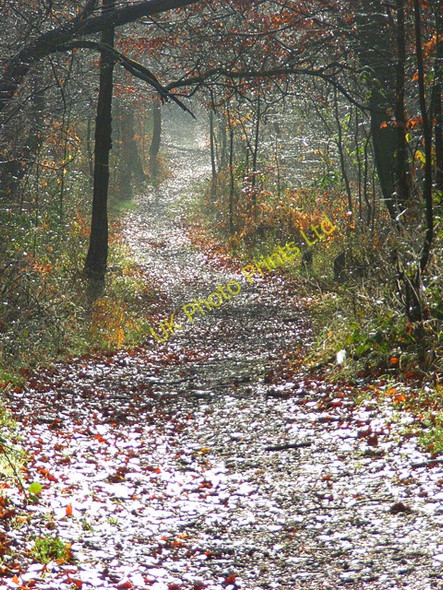 Photo 6"x4" Restricted byway, Bowsey Hill Kiln Green\/SU8178 c2007
