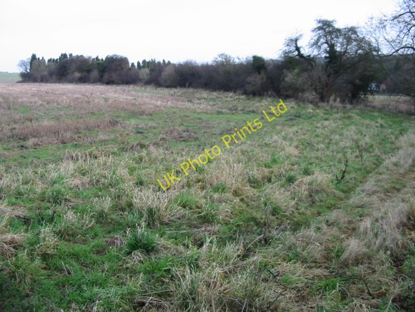 Photo 6"x4" Field boundary near Venson Bottom Knowlton\/TR2853 c2008