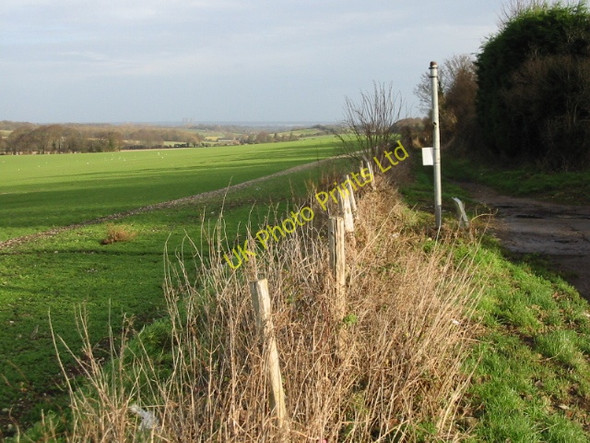 Photo 6"x4" View NE from Roman Way, Elvington Elvington\/TR2750 c2008