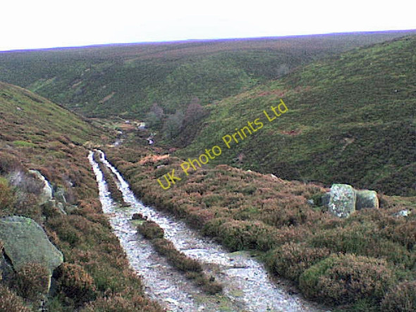 Photo 6"x4" View down the valley of Long Gill towards upper Colsterdale West Scrafton c2008