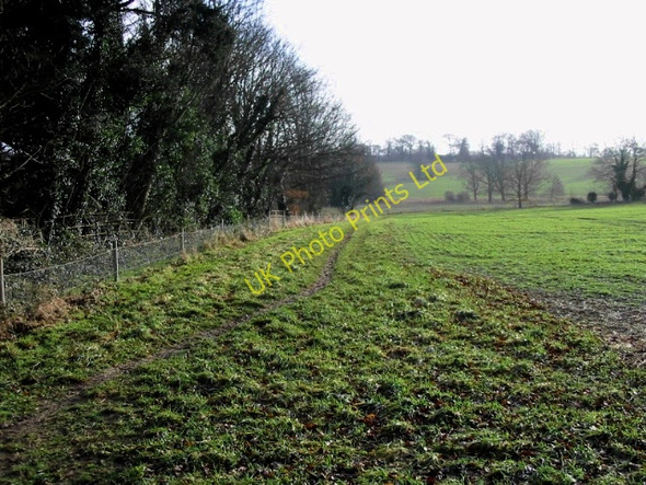 Photo 6"x4" Field boundary Eythorne c2008