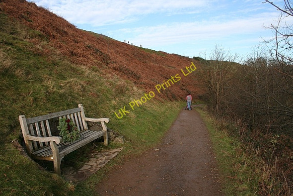 Photo 6"x4" Aldous Memorial Seat Little Malvern c2008