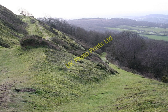 Photo 6"x4" Path from British Camp to Walms Well Barton Court\/SO7440 c2008