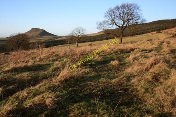Photo 6"x4" Site of Summer Hill Farm Hutton Village c2008