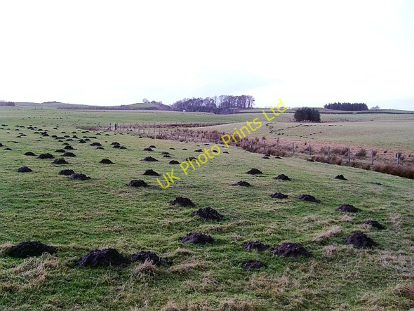Photo 6"x4" Fields near Cleugh Head Tindale c2008
